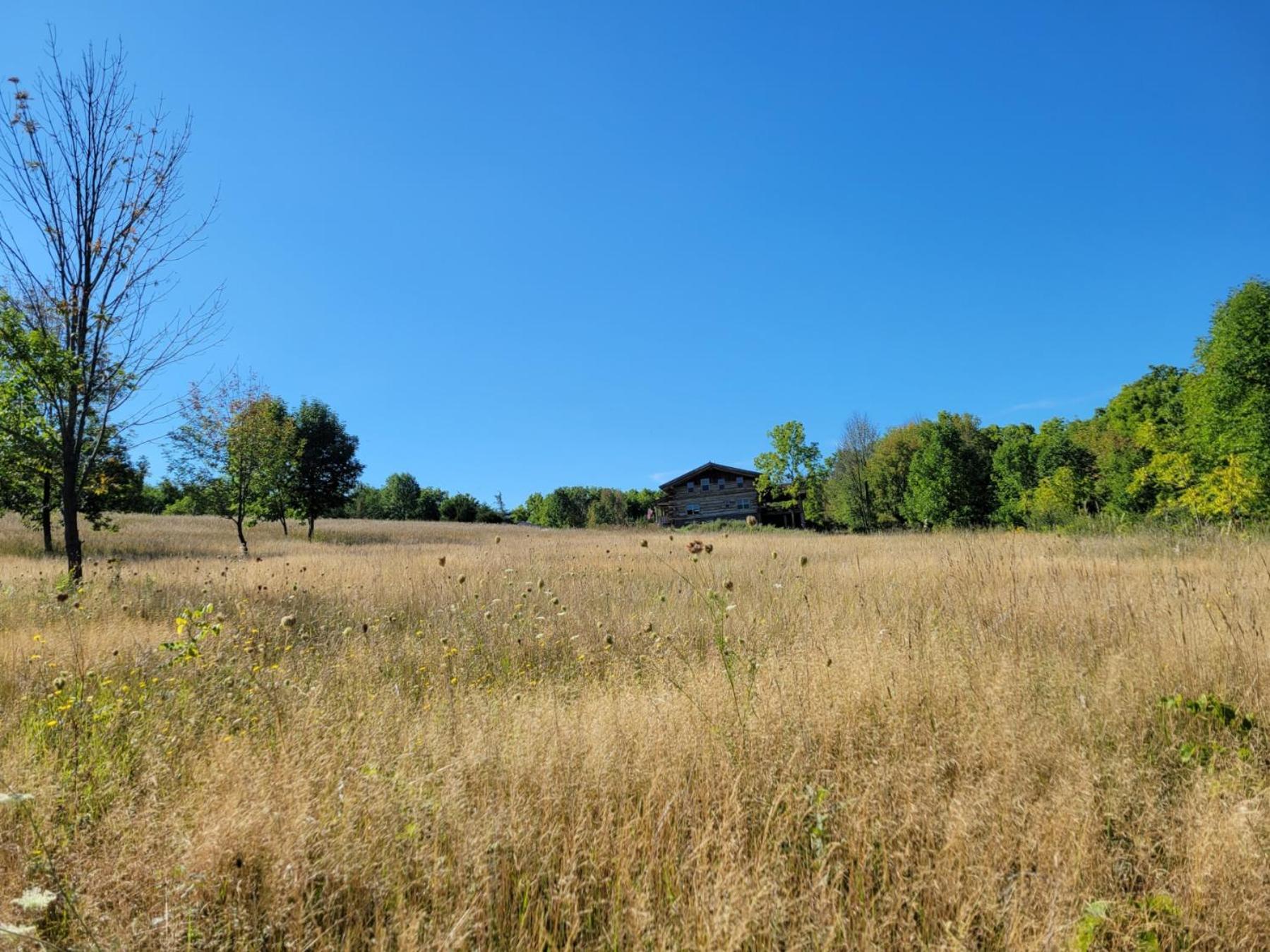 Firefly Creek Lodge Livonia Eksteriør bilde